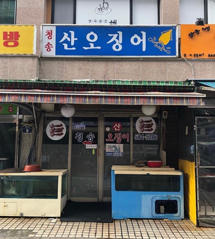 청송산오징어1