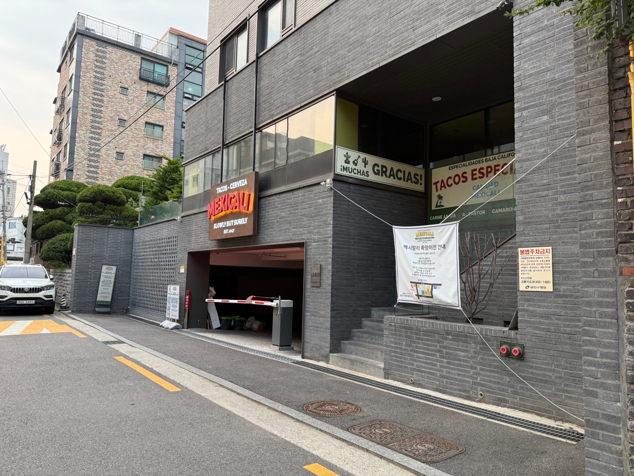 멕시칼리1