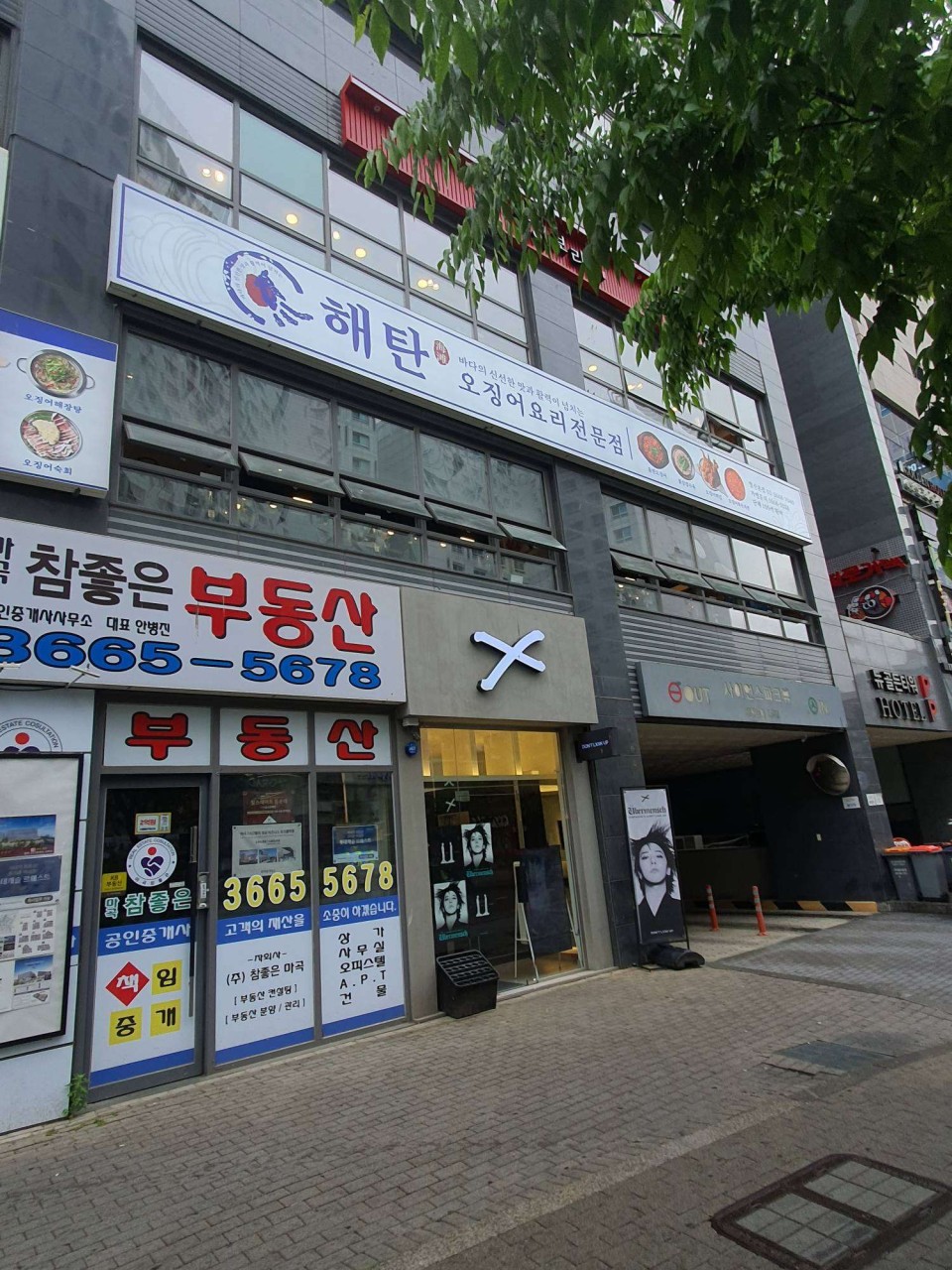 해탄 발산마곡 본점1