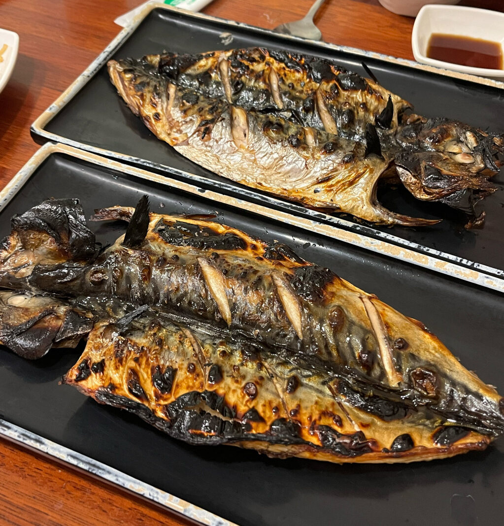 오산시 찐 맛집 1탄! 17 북극해고등어2 e1750916920253