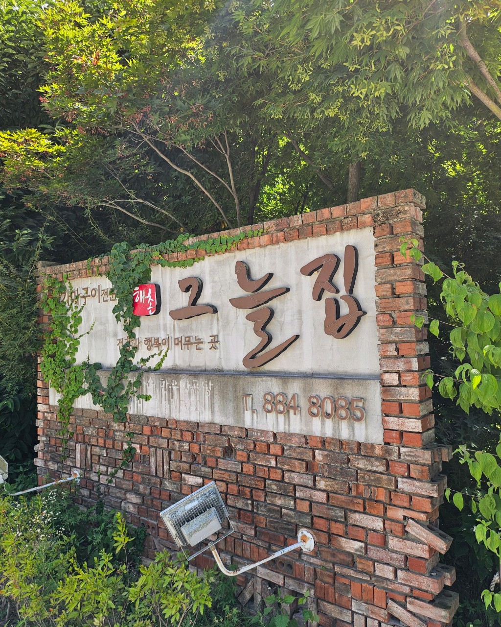 그늘집3
