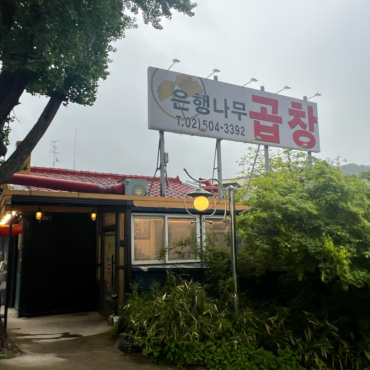 은행나무곱창1